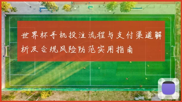 世界杯手机投注流程与支付渠道解析及合规风险防范实用指南