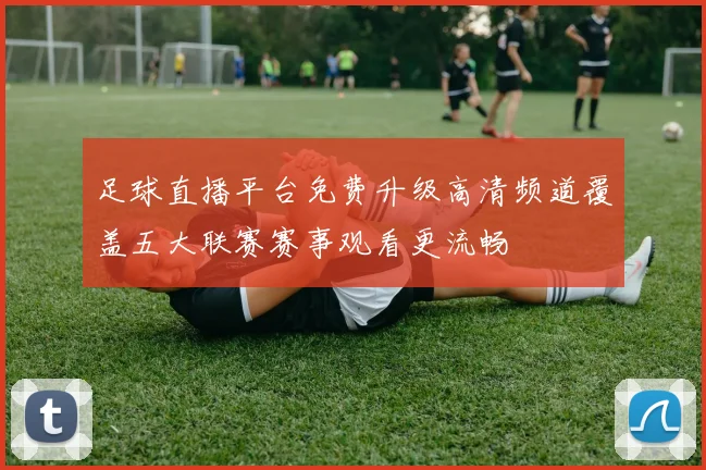 足球直播平台免费升级高清频道覆盖五大联赛赛事观看更流畅
