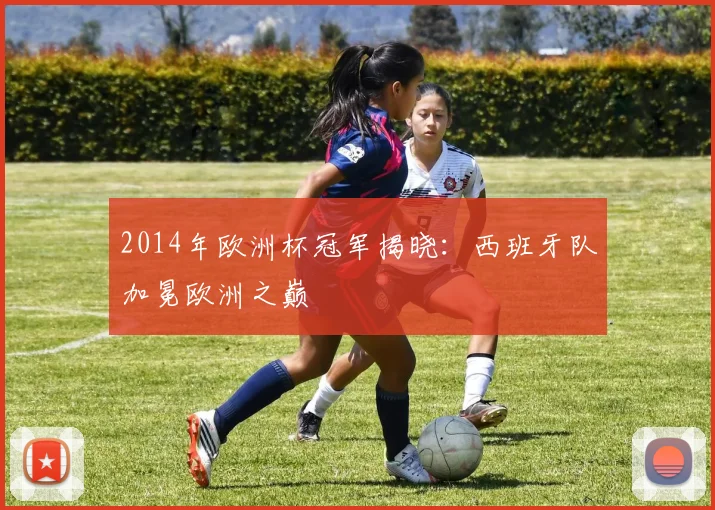 2014年欧洲杯冠军揭晓:西班牙队加冕欧洲之巅
