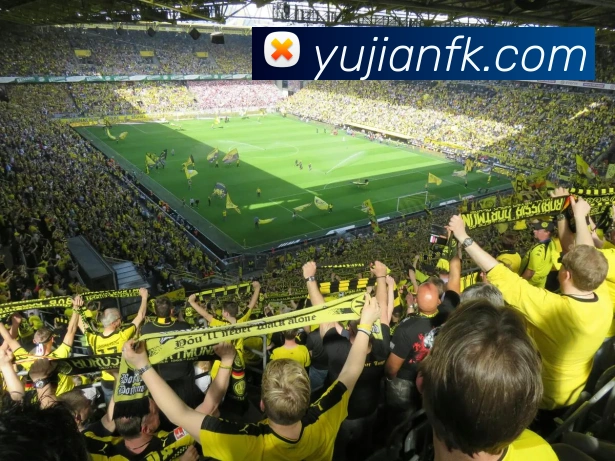 企业概况